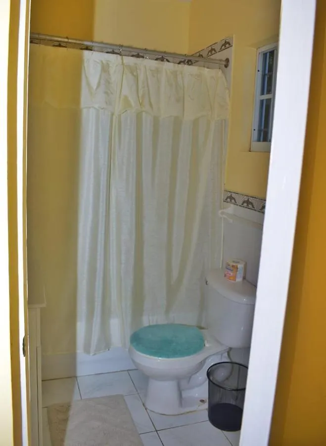 Unity Villa One Bedroom Apartment Close To Montego Bay And Beaches With Wifi